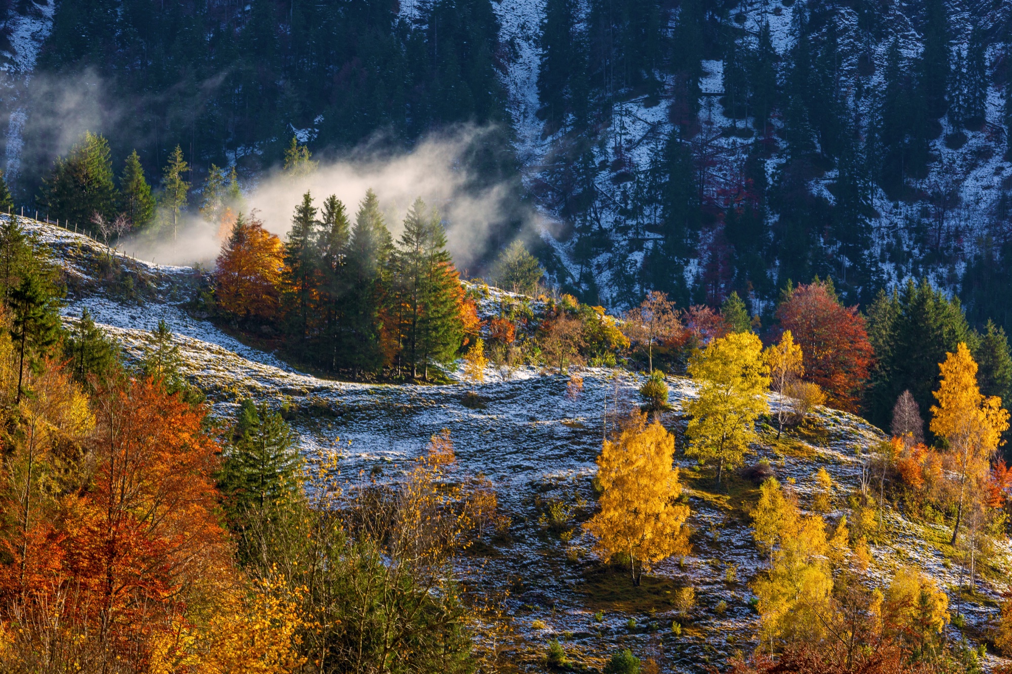 Herbstliche Allgäuer Berglandschaft als lizenziertes Beispielbild; keine Aufnahme der konkreten Veranstaltung.