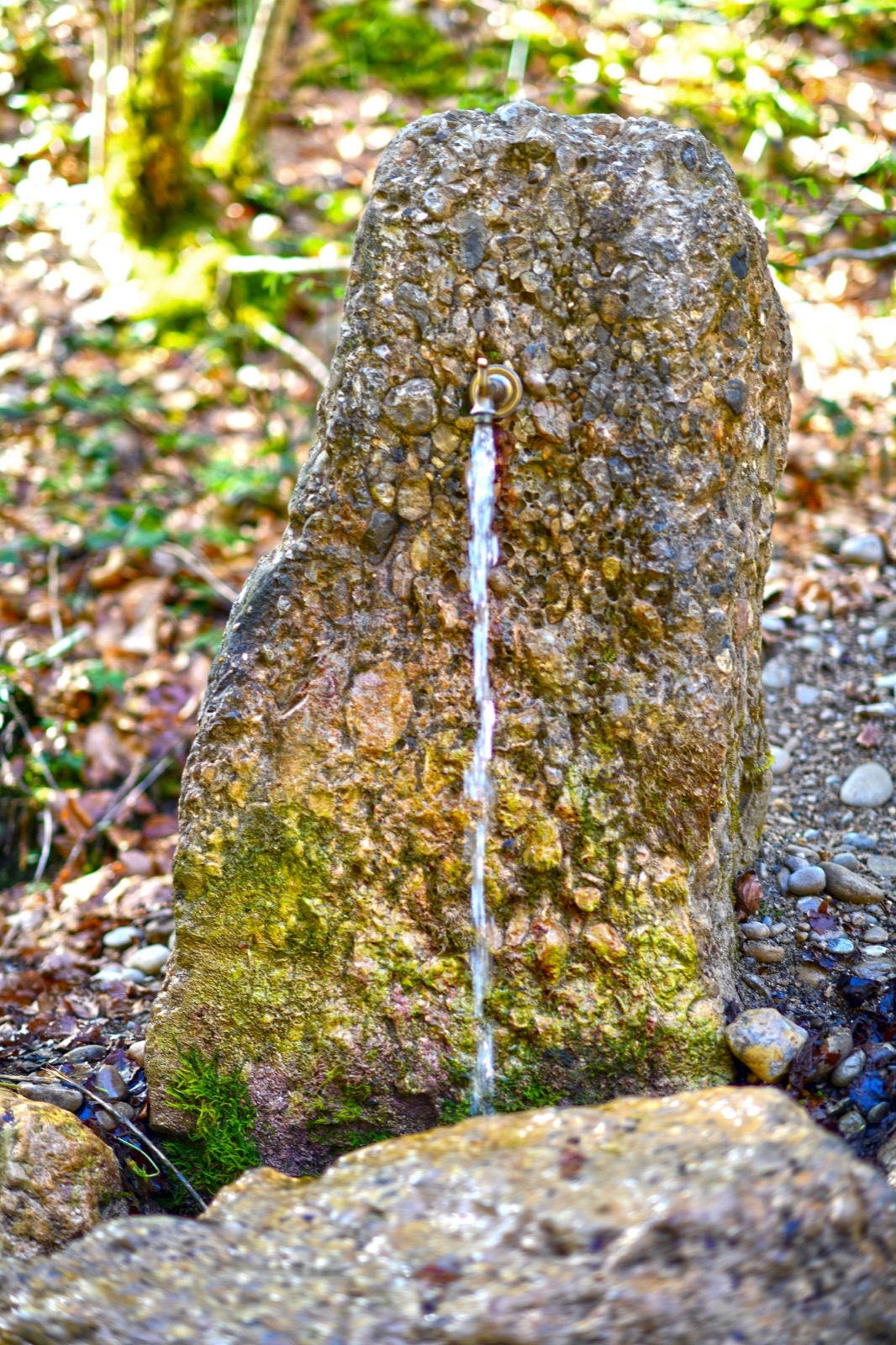 Quellwasserbrunnen im Eistobel im Westallgäu; thematisches Beispielbild, keine Aufnahme der Ausstellung.