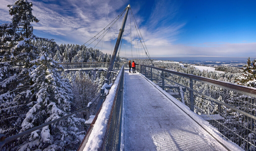 Illustration aus der Printausgabe: Waldwelt Skywalk: Winter zwischen den Baumwipfeln